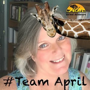 Meet your Posher, Carol